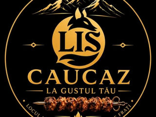turcandavid09