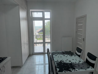 Apartament cu 1 cameră, 47 m², Centru, Grătiești, Chișinău mun. foto 5