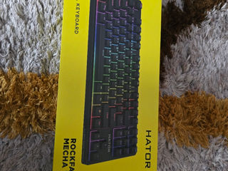 Hator Rockfall TKL Mechanical keyboard