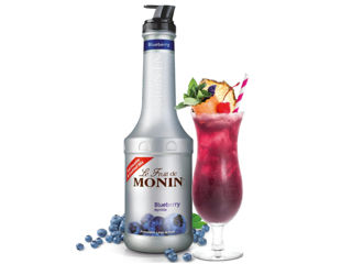 Piure De Afine Blueberry Monin 1000 Ml, Livrare Moldova