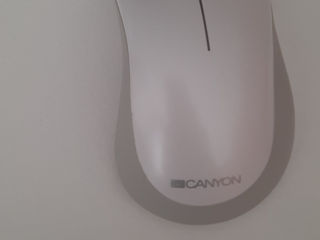 Mouse canyon foto 1