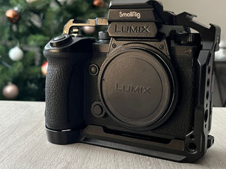 Panasonic Lumix s5 iix ideal