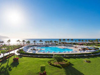 Baron Resort 5*   Sharm El Sheikh