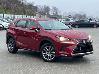 Lexus NX Series