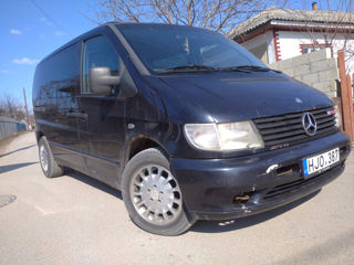 Pese vito cdi tdi foto 5