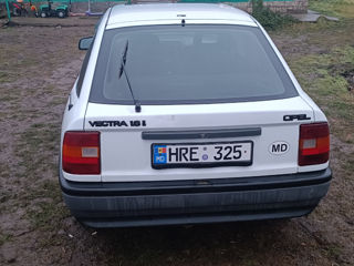 Opel Vectra foto 5