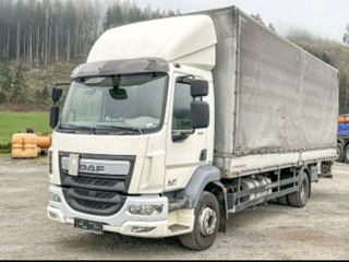 Daf LF