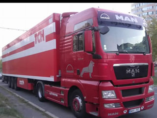 Man TGX440