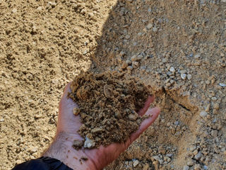 Nisip,nisip pentru tencuiala,nisip spalat,nisip beton,pgs,gagică,moluz,prundiș