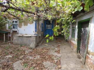 Продам участок 5 соток по ул.Огородная фото 5