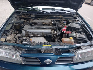 Nissan Primera foto 2