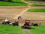 Cumpăr cote de teren agricol în satul Camenca raionul Glodeni foto 6