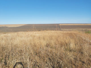 sat. Coloniţa, Teren, Agricol, 1.8425 ha + 1.9293 ha foto 9