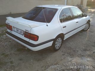 Nissan Primera foto 1