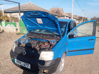 Fiat Panda foto 3