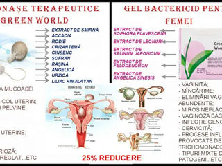 Gel intim bactericid. Гель Забота о женщине foto 5