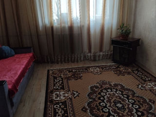 1-rm apt., 30 м², 5/5 fl.
