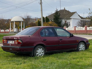 Nissan Primera foto 4