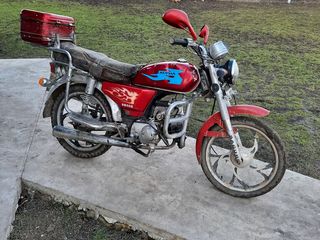 Alpha Moto Sabur foto 2