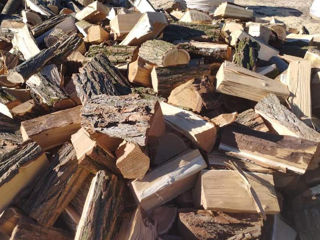 Vind lemne de foc de salcim