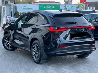 Lexus NX Series foto 3