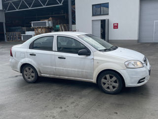 Chevrolet Aveo foto 4