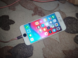 iPhone 6 foto 4