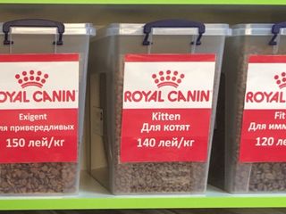 Сухие корма Royal Canin, BewiCat на развес с доставкой на дом и другое foto 4