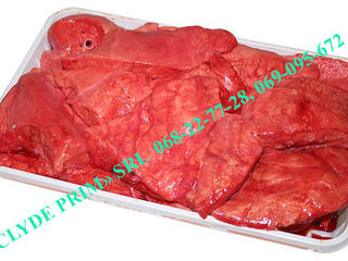 Магазин: мясо для собак, мясопродукты и сухие корма для собак и кошек, carne, carne pentru animale foto 7