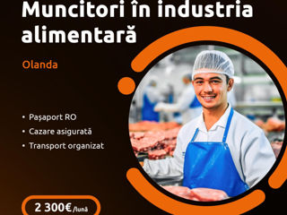 Angajăm muncitori la fabrici de mezeluri (Germania, Olanda, Irlanda) / 2500 euro foto 1