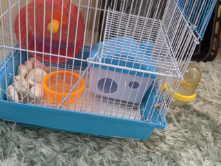 Cușcă de hamster