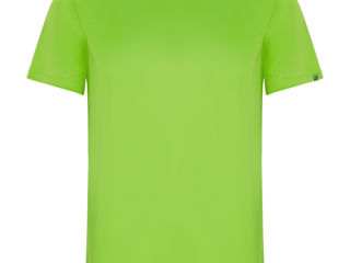 Tricou imola pentru bărbați-verde deschis / мужская спортивная футболка imola - салатовая