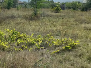 12 ari pentru constructii Boscana 19km de la Chisinau Proprietar foto 2