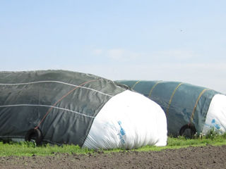 Silobag-uri - depozitare cereale, furaje foto 5