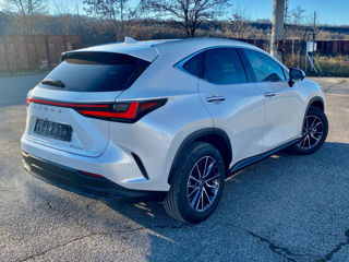 Lexus NX Series foto 5