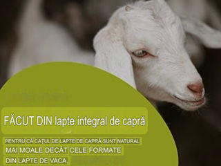 Nannycare Etapa 2 Lapte de capră 900 g Formulă de continuare pentru bebeluși(6-12 luni)cu vitamina D foto 6