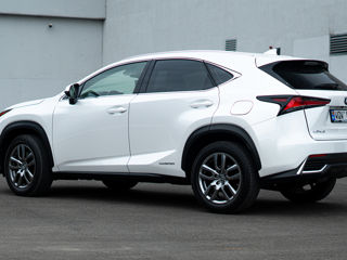 Lexus NX Series foto 4