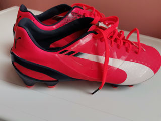 Puma originale