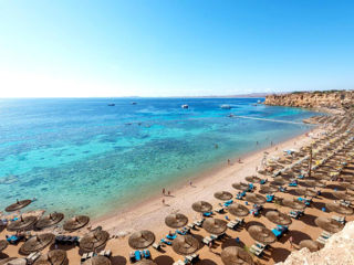 Египет Jaz Fanara и Reef Oasis Beach
