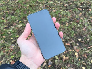 iPhone 13 Pro Max 1TB foto 4