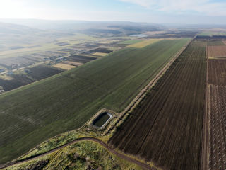 Vanzare Teren Agricol Ferma Depozit Arteziana 380v Bazin foto 7