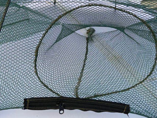 Складная ловушка для зонта  с 6  8 10 12 16 отверстиями рыболовного краба крабов креветок foto 4