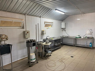 Se vinde afacere activa cu Srl Crescatorie de prepelite foto 2