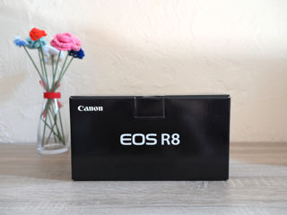 Canon R8 nou