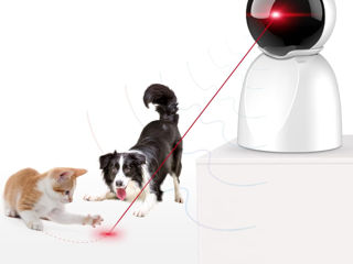 Jucărie cu laser pentru pisici Лазерная игрушка foto 1