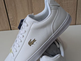 Lacoste 43