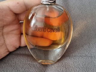 Roberto Cavalli original