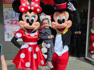 Mickey și Minnie Mouse / Микки и Минни маус аниматоры / animatori mascote Moldova foto 1