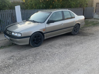 Nissan Primera foto 3