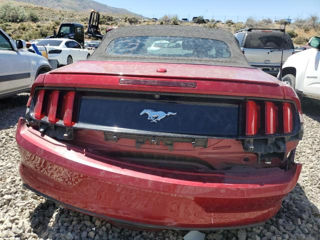 Ford Mustang foto 6